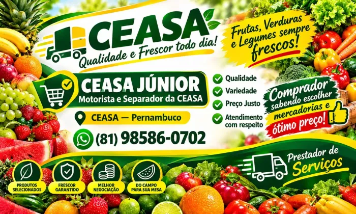 Ceasa recife 