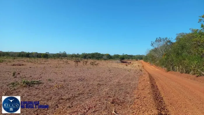 Fazenda à Venda em Pedro Afonso TO | 198 Alqueires | Terra Vermelha