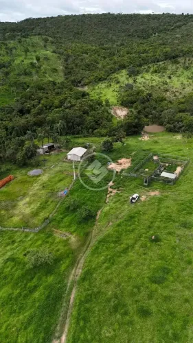 São Miguel do Passa Quatro - Fazenda de 29 Alqueires codigo: 272658