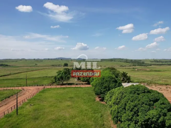 Fazenda 460 Alqueires (2.226 hectares) Xinguara - PA