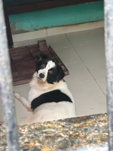 Doação 