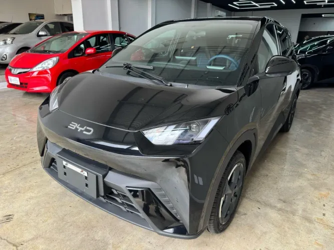 BYD Dolphin Mini (Elétrico) 2027