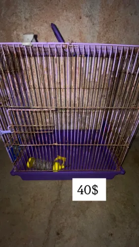 Gaiolas para hamster 