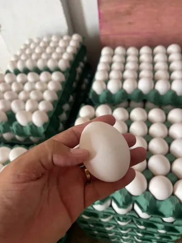 Ovos com 30 unid diretamente da granja. Oportunidade até acaba o estoque.