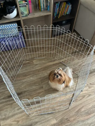 Cercadinho para Cães em Epóxi Branco