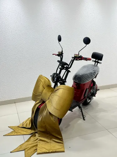 Moto Elétrica Foston x12 Max