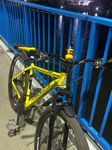 Bicicleta absoluta aro 29