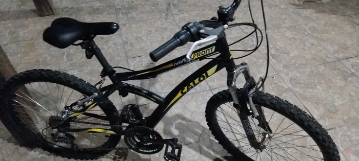 Bicicleta