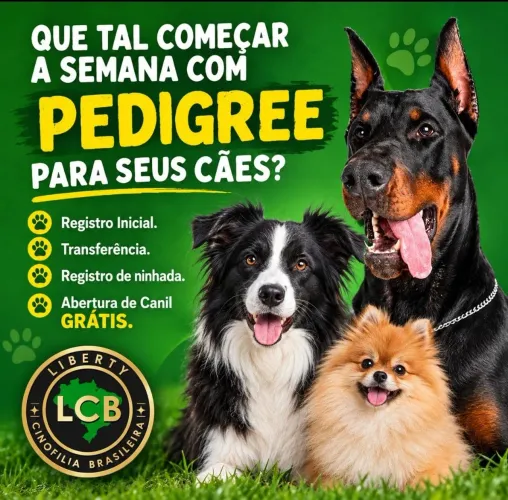 Solicite já o Pedigree do seu cão de Raça