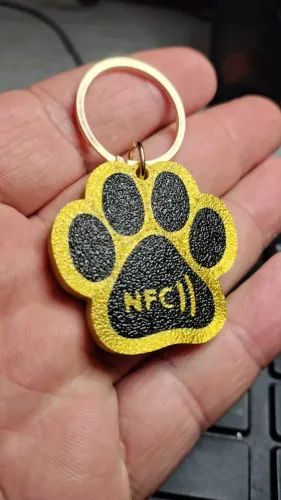 Chaveiro NFC para identificação de PET, proteção para seu amigo de estimação.