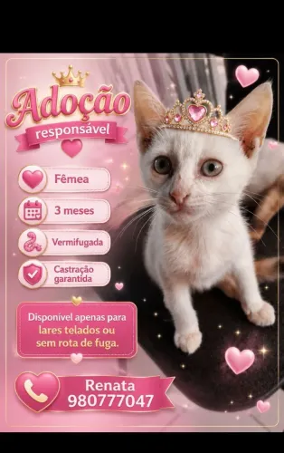 Adoção Responsável 