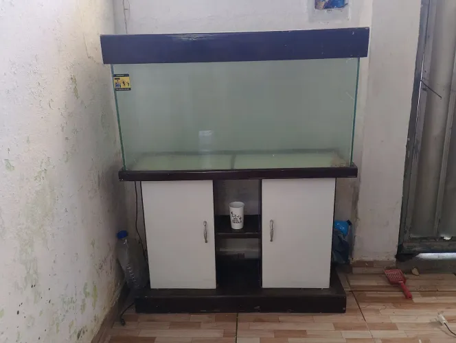 Aquário 