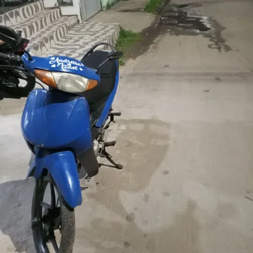 Motinha