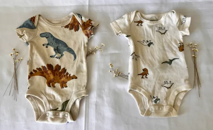 Conjunto Bodies Carter?s