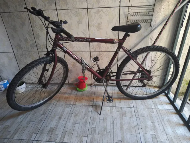 Bicicleta 