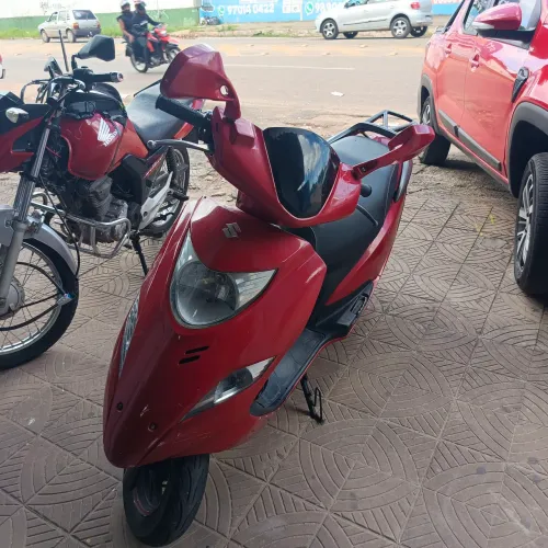 BURGMAN 2013