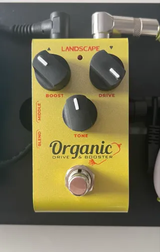 Drive ODB Landscape