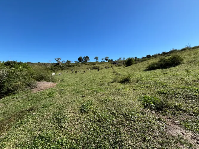 Fazenda 40 hectares em Itiruçu/BA - água, curral e pastagem