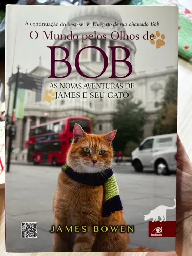 Livro O Mundo pelos olhos de BOB