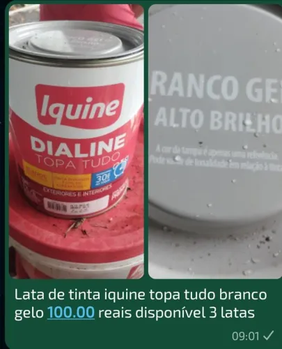 Tinta iquine topa tudo branco gelo