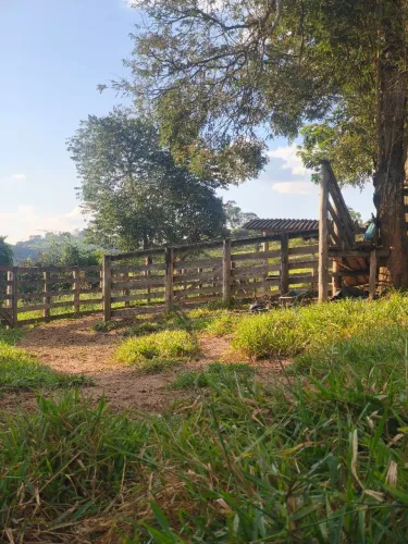 Vendo fazendinha 12 a 14 alqueires