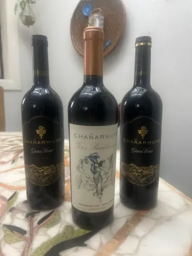 Vinhos exclusivos da Vinícola Argentina Charamuyo