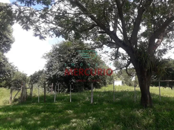 Sítio a venda em Alvinlândia, com aproximadamente 2 alqueires- plano, só pasto.
