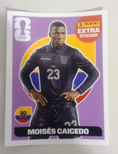 Legend Moisés Caicedo Lilás/Base