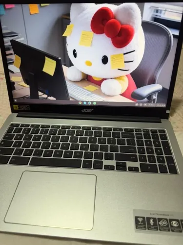 Acer Chromebook 315 15,6? Full HD - 4GB RAM + Capa - Conservado
