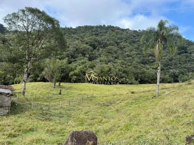 Terreno à venda, 726000 m² por R$ 3.080.000 - Santo Antonio - São Bonifácio/SC