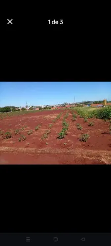 Terreno em Assis Chateaubriand Pr 