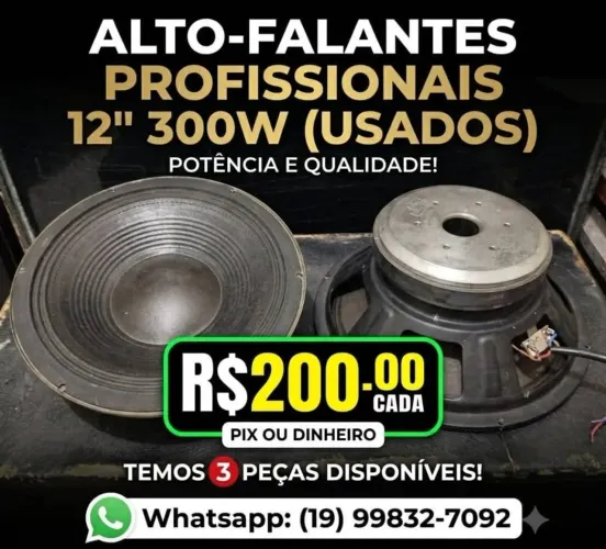 Alto Falante 12 polegadas 300w, tenho 3 peças R$200,00 cada, whatsapp *