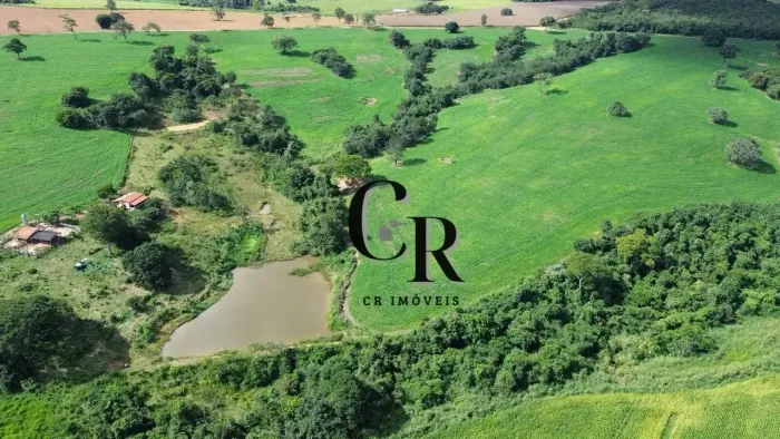 Sítio de 8 alqueires e 14 litros em Bela Vista de Goiás