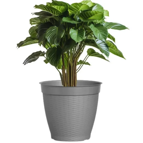 Kit 2 Vasos 14,5 L e 21L Redondos Rattan Vime Para Jardim
