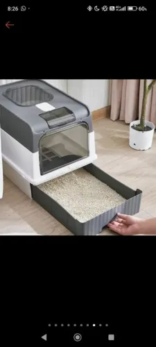 Banheiro para gatos