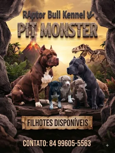 Pit Monsters