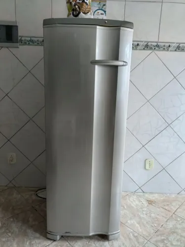 Freezer Vertical
