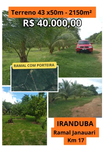 Terreno Iranduba - Ramal Janauari, KM 17 - 43x50m - 2150m²