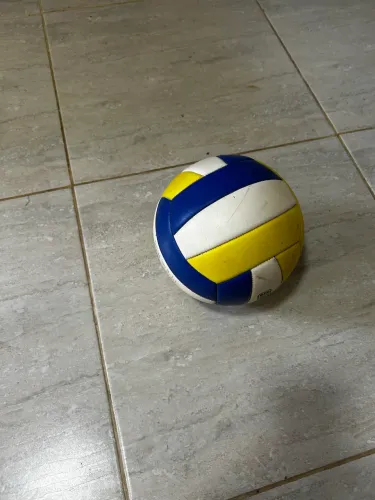 Bola de voleibol