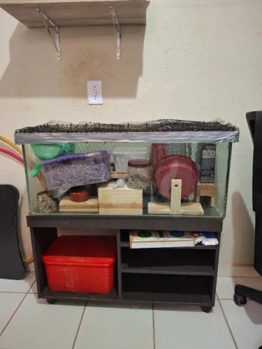 Terrario para Hamster ou Gerbil
