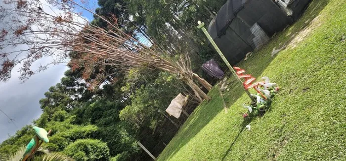 VAGA Serviços gerais, chácara, Roseira, Colombo
