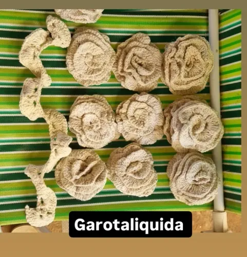 Flores de Crochê - Decoração e Artesanato