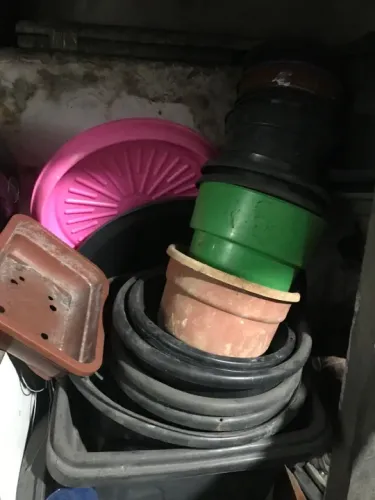 Lote de vasos de plástico para plantas + base de madeira com rodizios.