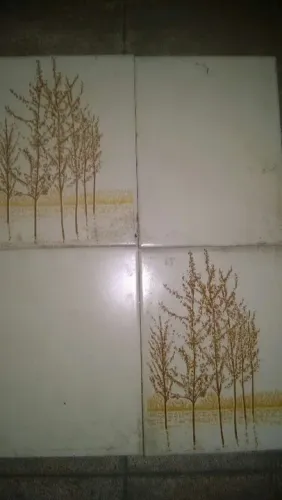 AZULEJOS NOVOS  INCEPA EXTRA.