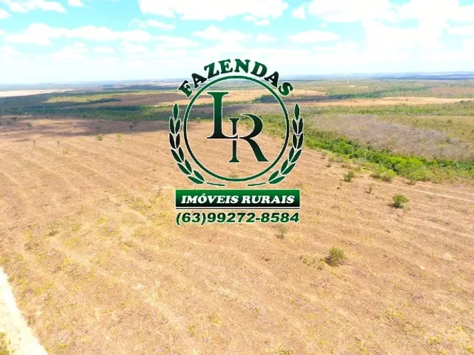 Fazenda Tocantins 130 Alqueires Lavoura