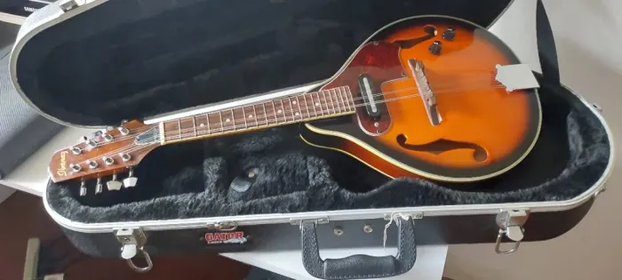 Mamdolim Bandolim Ibanez  Elétrico c/ Case