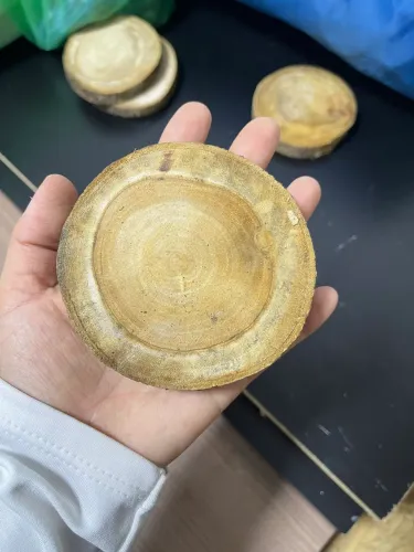 Bolachas de madeira para decoração 