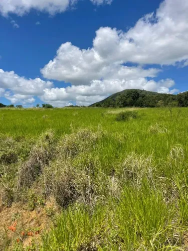 Terreno à Venda com 4 Tarefas - Estrada de Acesso ao Povoado Mangueira Itabaiana/SE