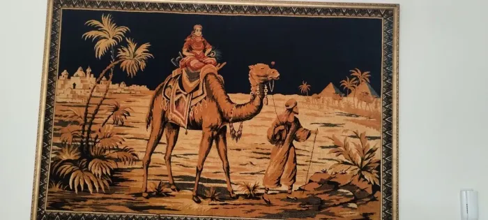 Lindos Tapetes Persas com moldura