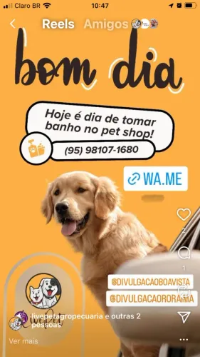 Banho e tosa pro seu pet